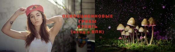 бутират Горняк